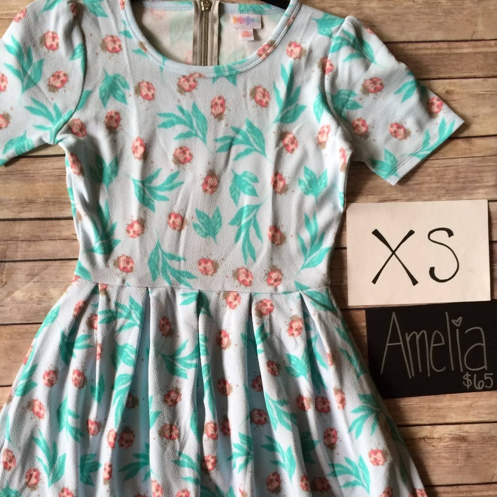 NWT LuLaRoe Amelia Dress - XS - Ladybugs!